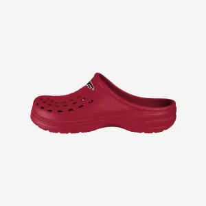 Atlanta Falcons Mens Solid Clog