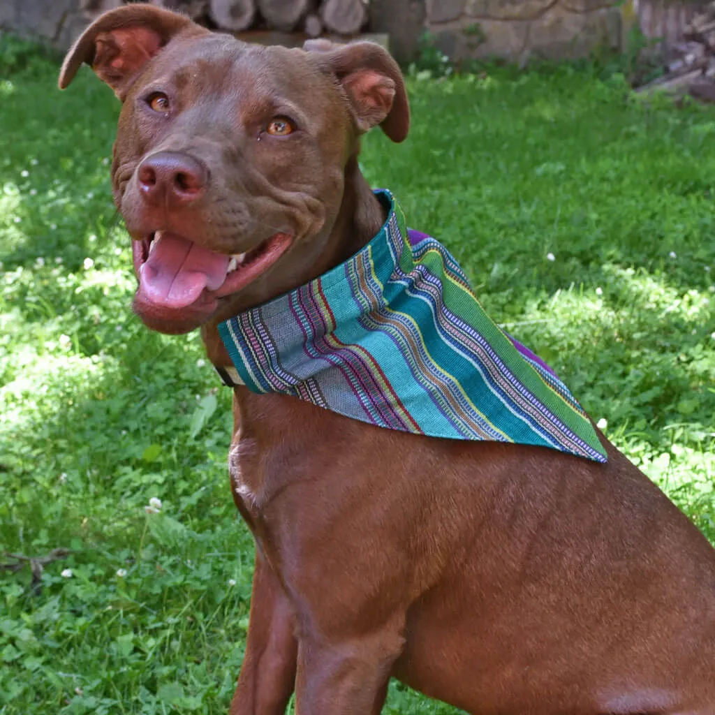 Hand woven Dog Bandana | Quetzal Jade
