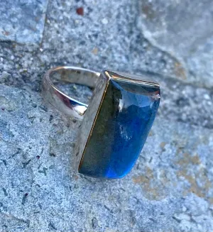 Modern Lab Ring
