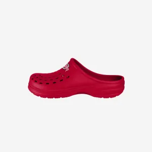 Ohio State Buckeyes Womens Solid Clog