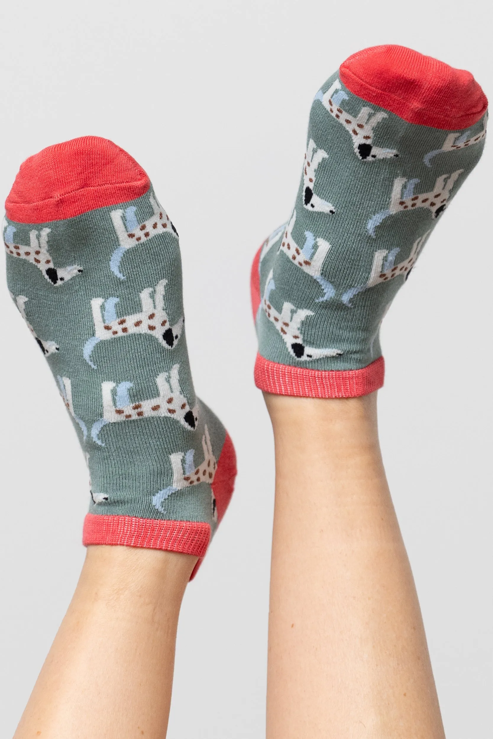 Poppy Trainer Socks and Poppy the Librarian Keyring Giftbox