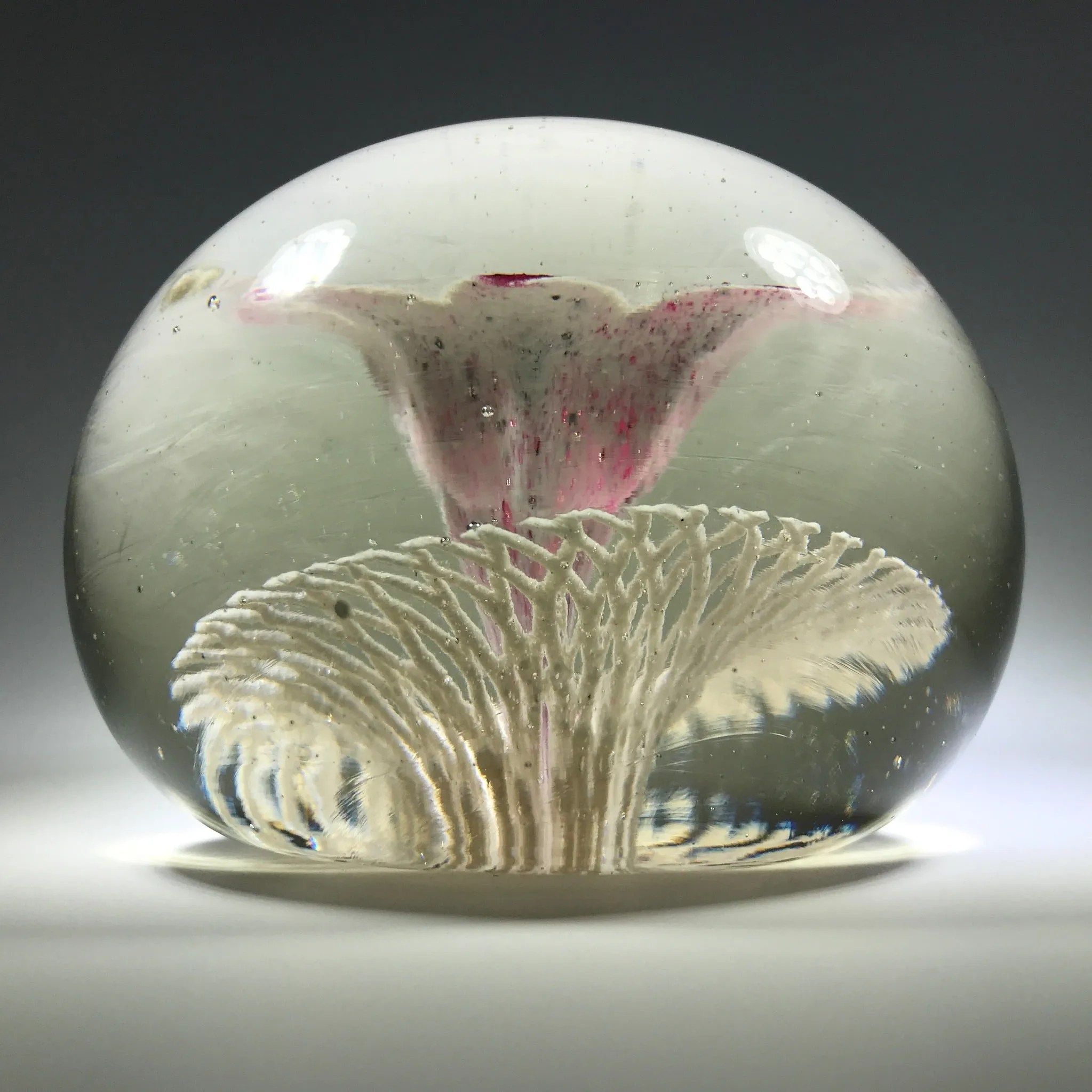 Rare Ed Rithner Art Glass Paperweight Maroon Flower on Frit Doily