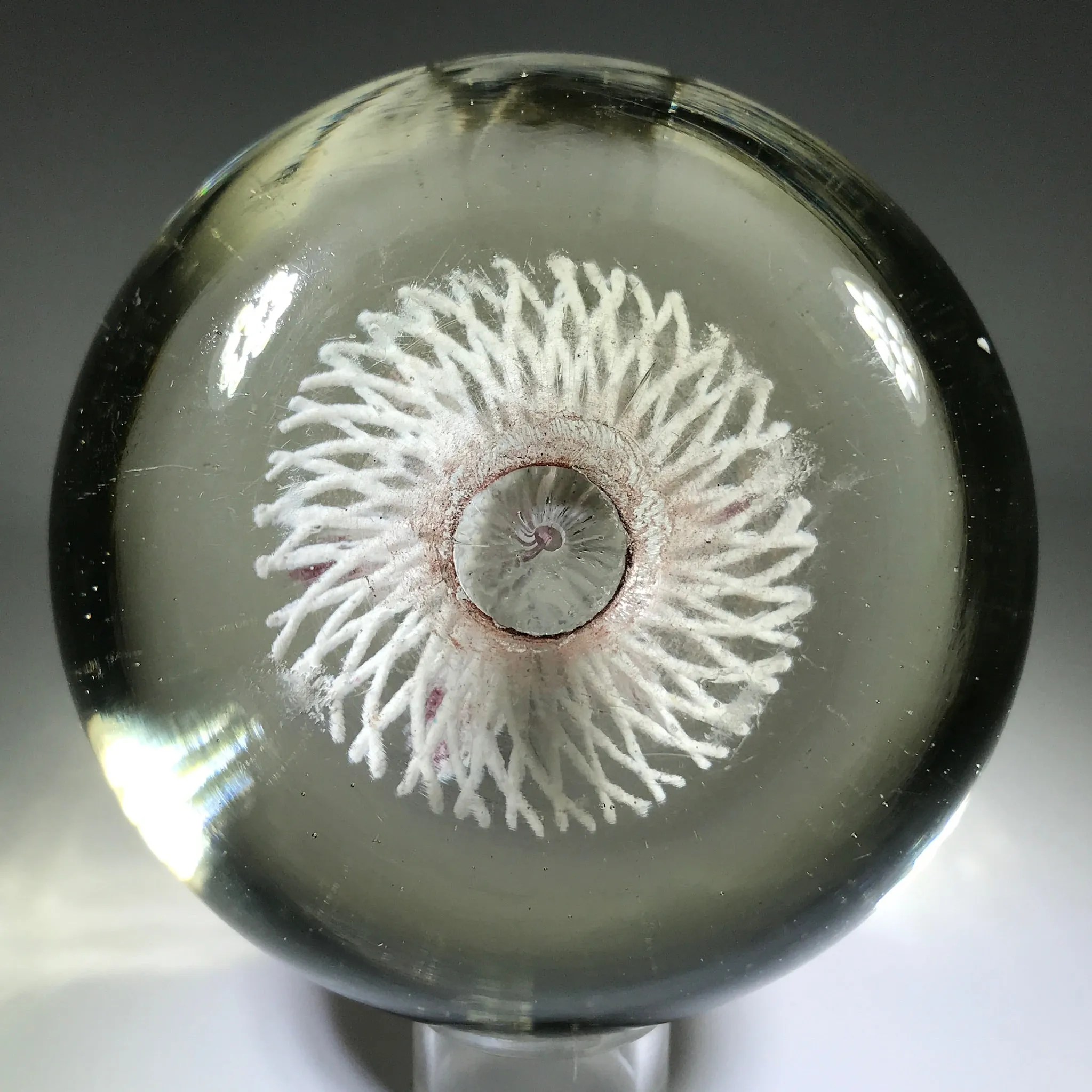 Rare Ed Rithner Art Glass Paperweight Maroon Flower on Frit Doily