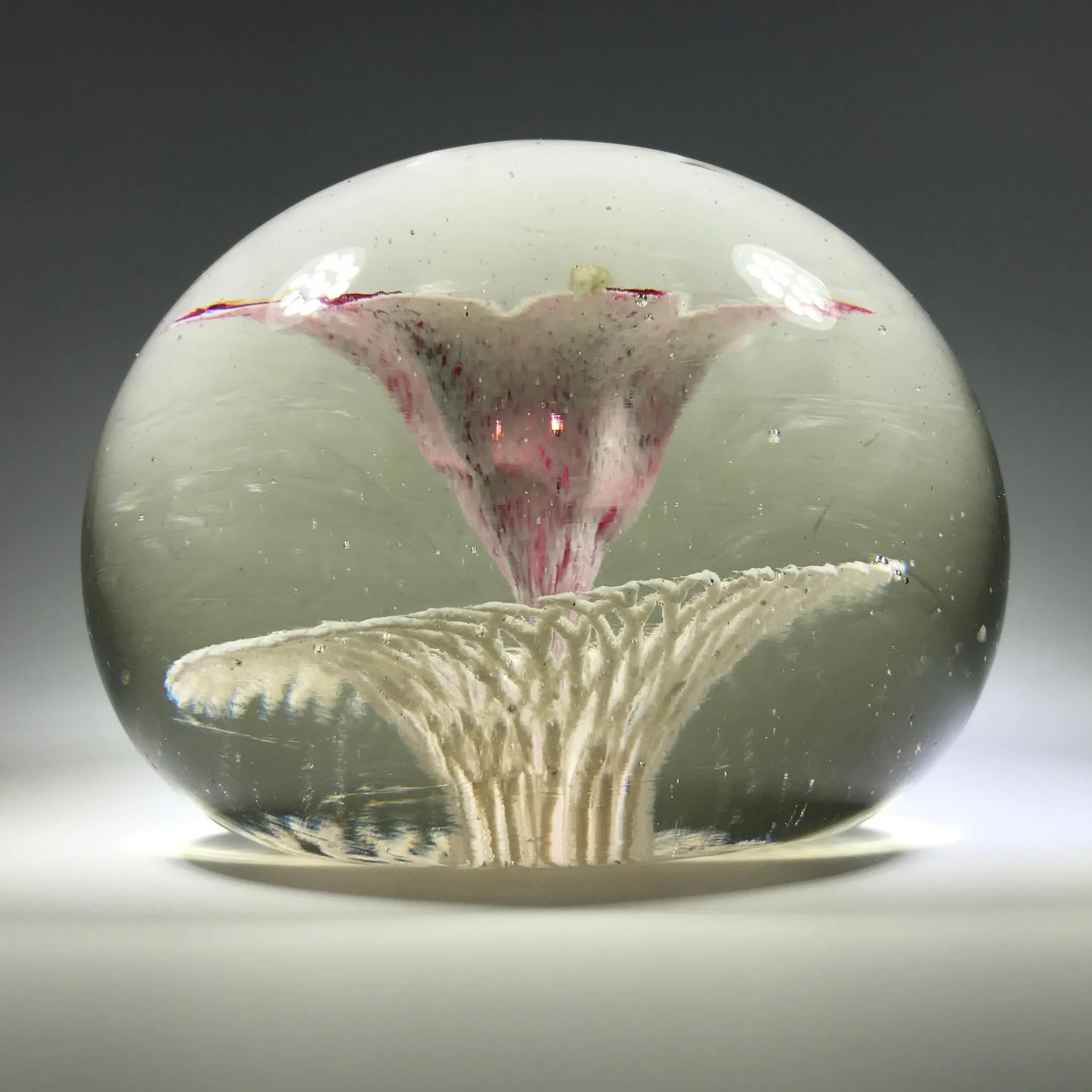 Rare Ed Rithner Art Glass Paperweight Maroon Flower on Frit Doily