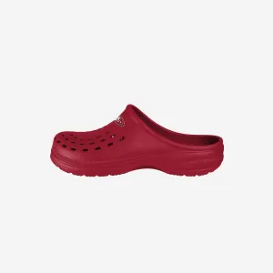 San Francisco 49ers Womens Solid Clog
