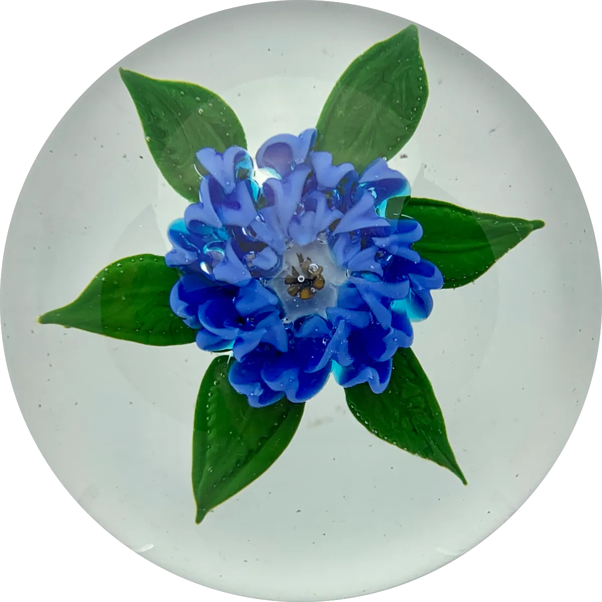 Signed Harold Hacker Lampwork Blue Dahlia on Clear Ground