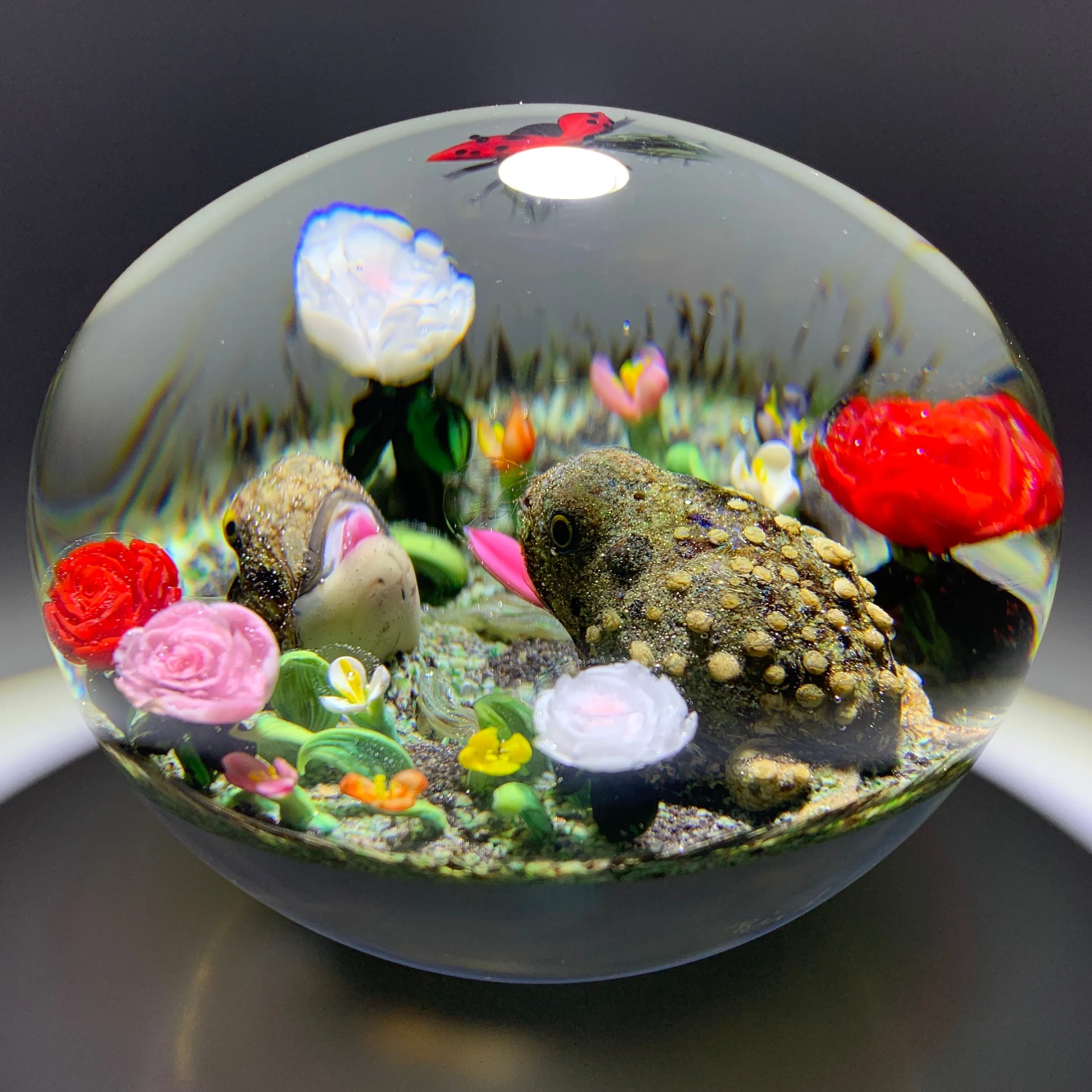 Super Magnum Rick Ayotte 1998 "A Narrow Escape" Toads in the Rose Garden With Hovering Ladybug