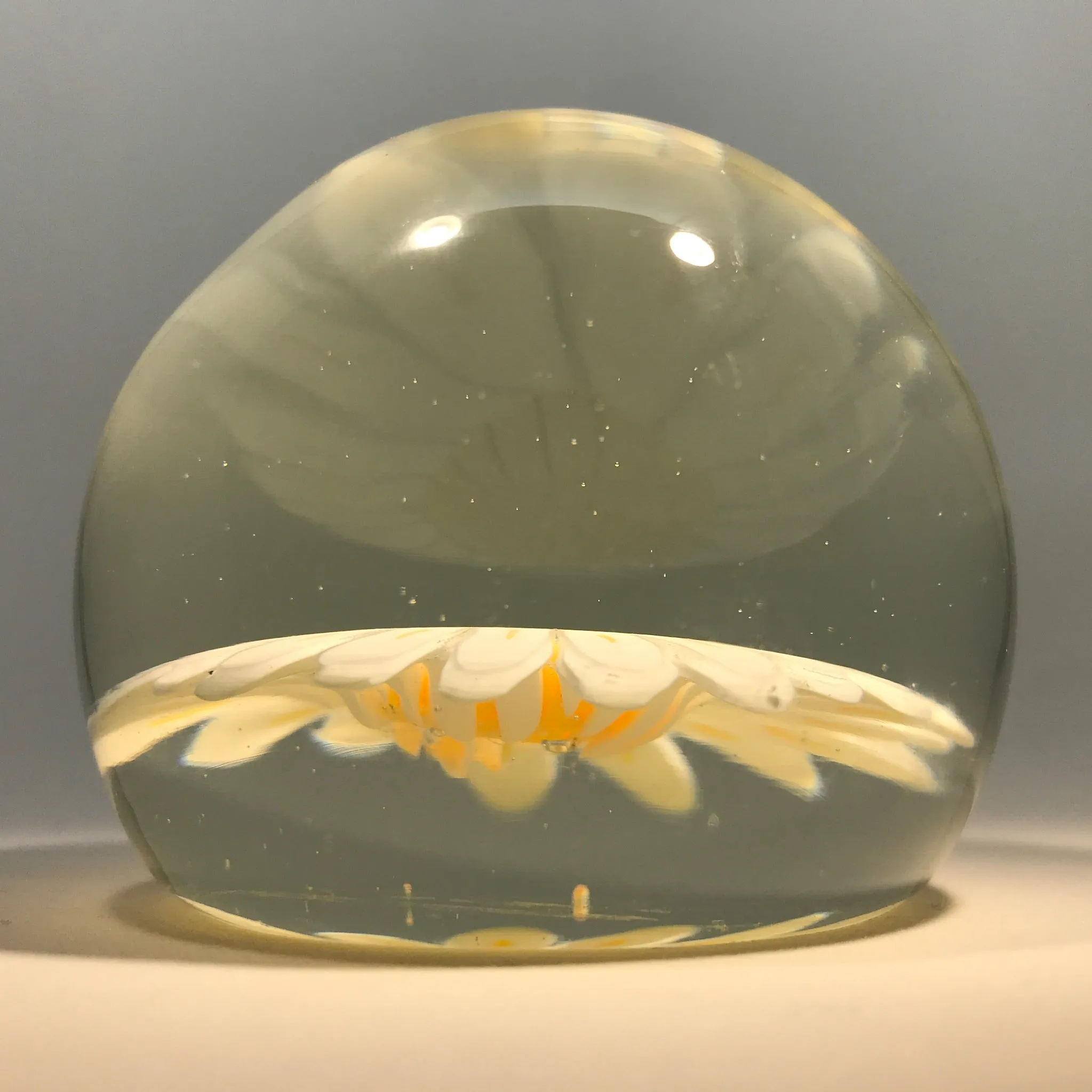 Vintage Murano Art Glass Paperweight Large Millefiori White Daisy Flower