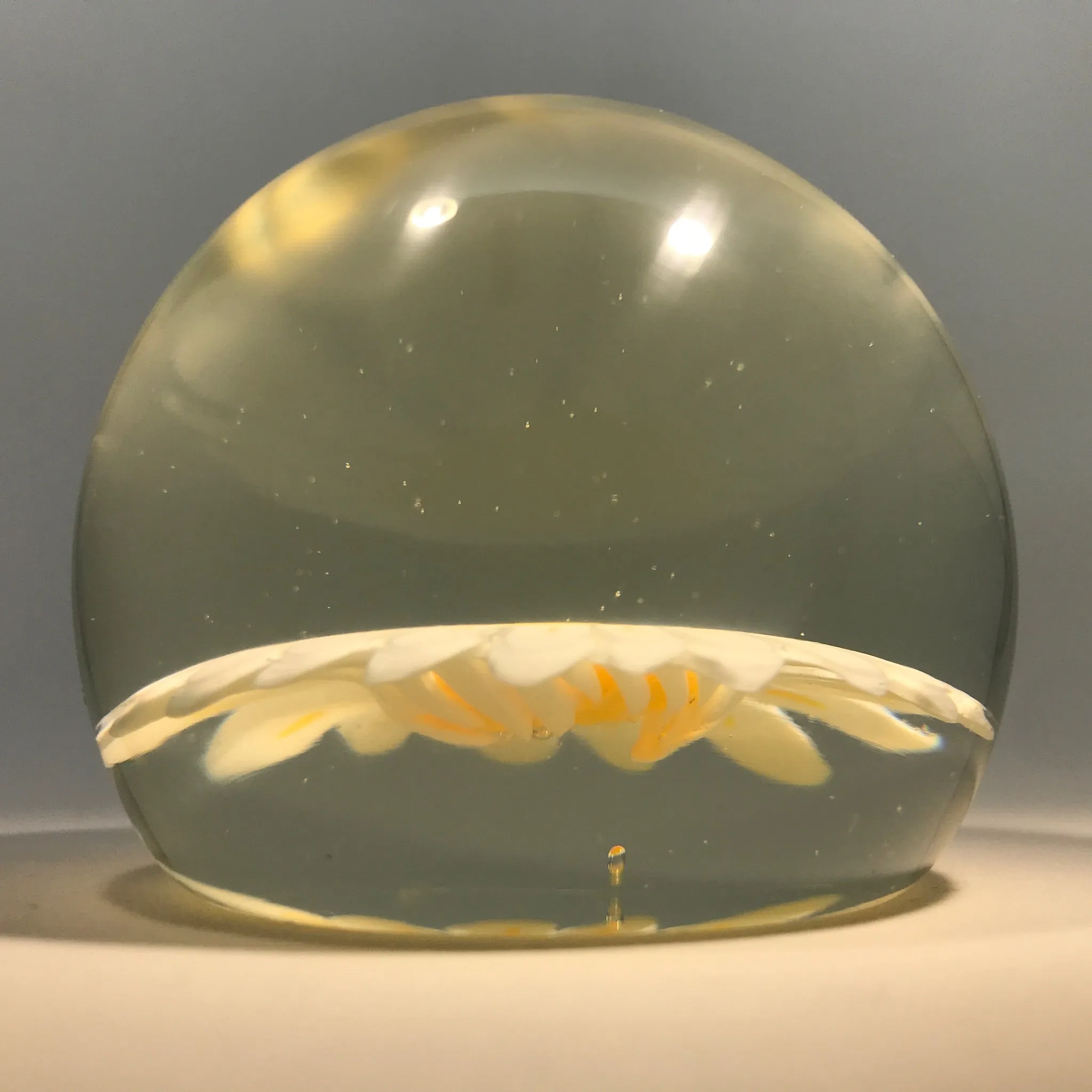 Vintage Murano Art Glass Paperweight Large Millefiori White Daisy Flower