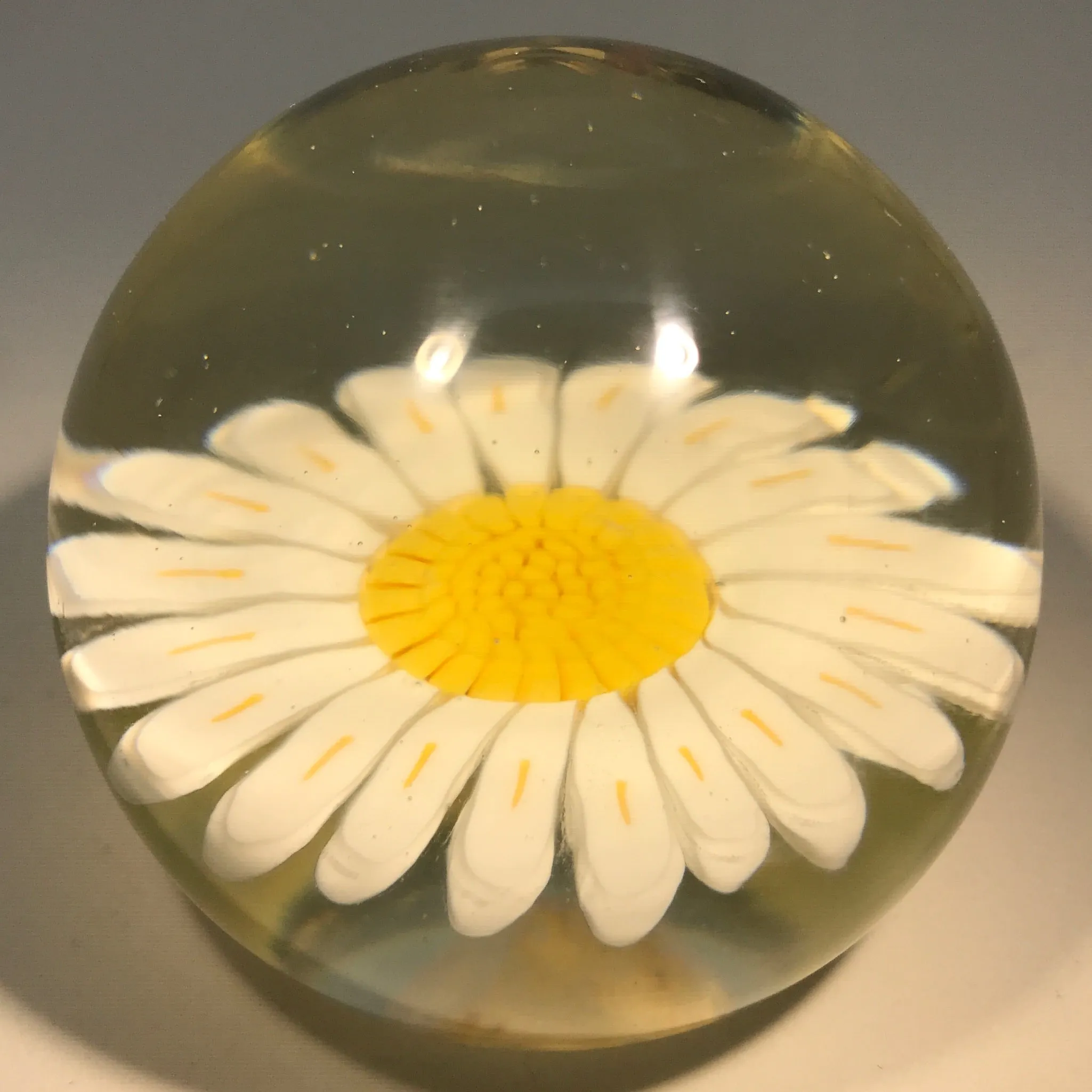 Vintage Murano Art Glass Paperweight Large Millefiori White Daisy Flower